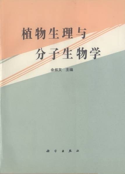 QuickQ官网｜让每一次连接都更轻快安全全球加速路线图